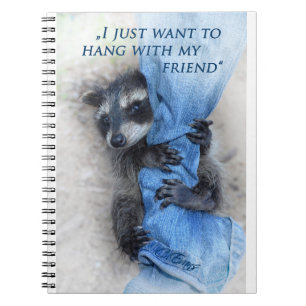 Waschbär - Abhängen Notebook