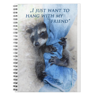 Waschbär - Abhängen Notebook