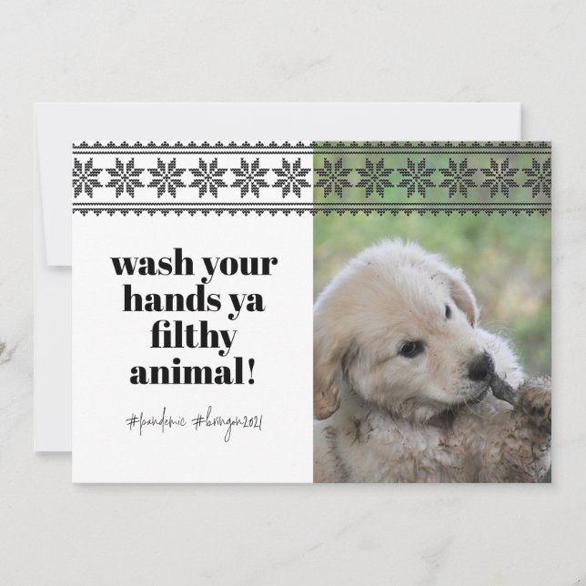 Wash Hands 2020 Funny Humour Sweater Cute Dog Phot Holiday Card (Front)