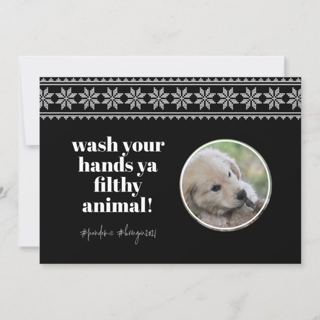 Wash Hands 2020 Funny Humour Sweater Cute Dog Phot Holiday Card (Front)