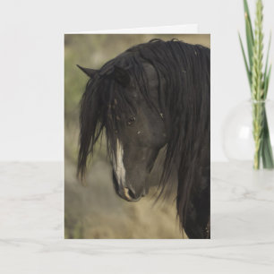 Washakie at Dawn Wild Horse Greeting Card