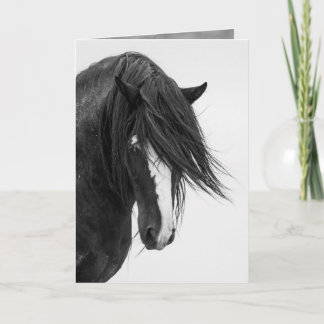 Washakie's Portrait Wild Horse Greeting Card