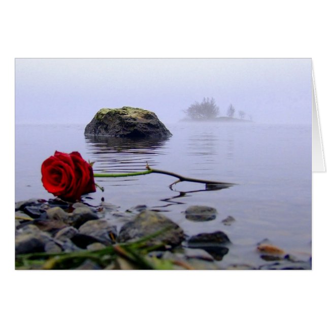 Washed Ashore Red Rose (Front Horizontal)