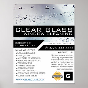 Washed Window, Window Cleaning Advertising Poster