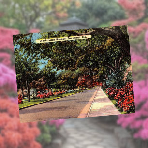 Washington Avenue Savannah GA historic Postcard