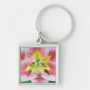 Washington, Bellevue, Lily Key Ring
