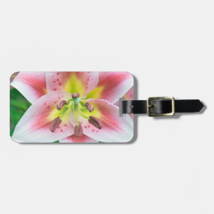 Washington, Bellevue, Lily Luggage Tag