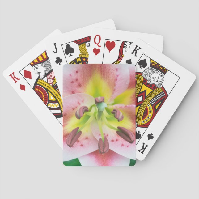 Washington, Bellevue, Lily Playing Cards (Back)