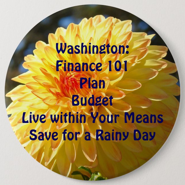 Washington Button Political Finance 101 Plan (Front)