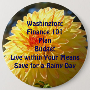 Washington Button Political Finance 101 Plan
