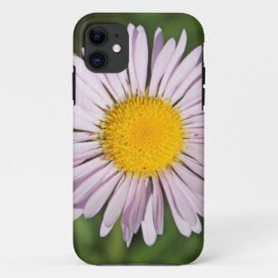 Washington, Cascade Range, Mount Baker iPhone 11 Case