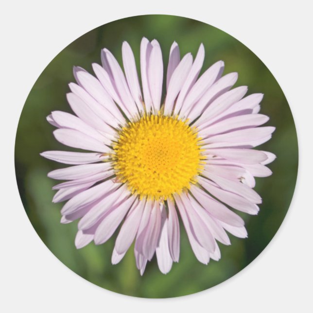 Washington, Cascade Range, Mount Baker Classic Round Sticker (Front)