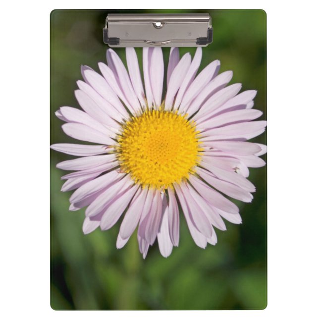 Washington, Cascade Range, Mount Baker Clipboard (Front)