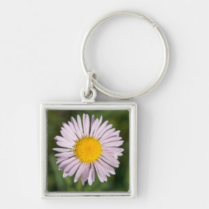 Washington, Cascade Range, Mount Baker Key Ring