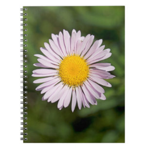 Washington, Cascade Range, Mount Baker Notebook