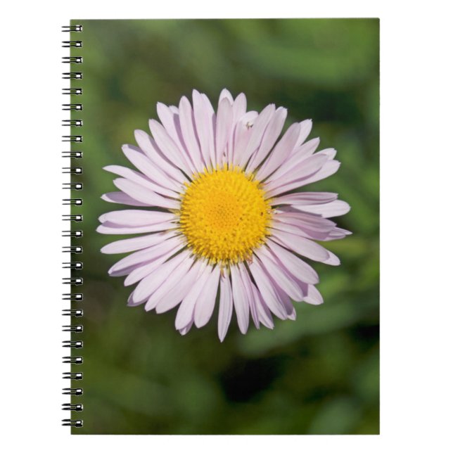 Washington, Cascade Range, Mount Baker Notebook (Front)