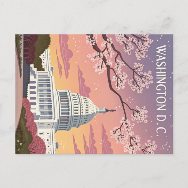 Washington D.C.: Cherry Blossoms at the Capitol Postcard (Front)