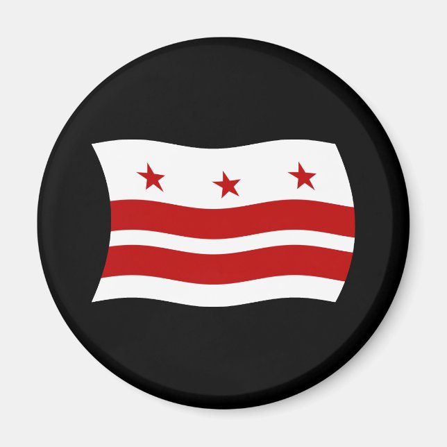 Washington D.C. Flag Magnet (Front)