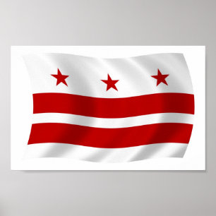 Washington D.C. Flag Poster Print