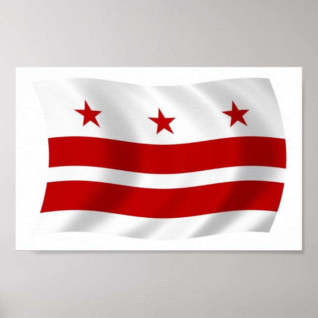 Washington D.C. Flag Poster Print (Front)