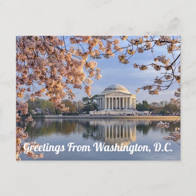 Washington D.C. Jefferson Memorial Postcard (Front)