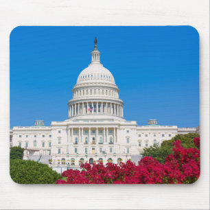 Washington D.C. Mouse Pad