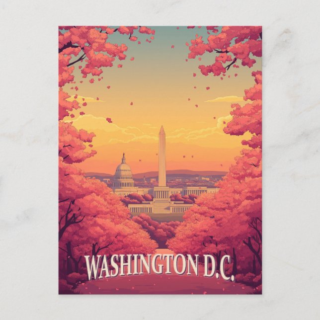 Washington D.C.  Postcard (Front)