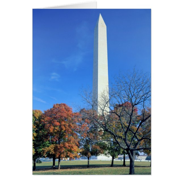WASHINGTON, D.C. USA. Washington Monument rises (Front)
