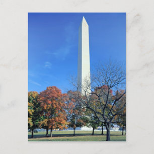 WASHINGTON, D.C. USA. Washington Monument rises Postcard
