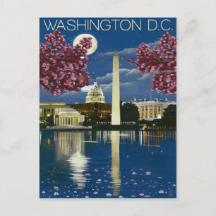 Washington DC at night, white house, spring Postcard