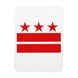 Washington DC Flag Magnet