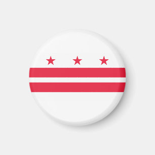 Washington DC flag Magnet