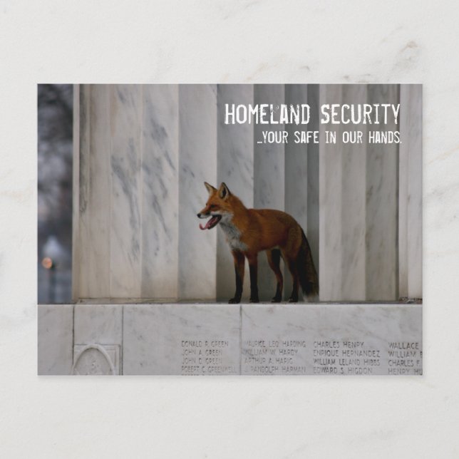 Washington, DC:  Homeland Security Humour Postcard (Front)