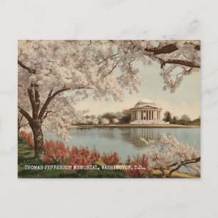 Washington DC Jefferson Memorial Vintage Travel Postcard