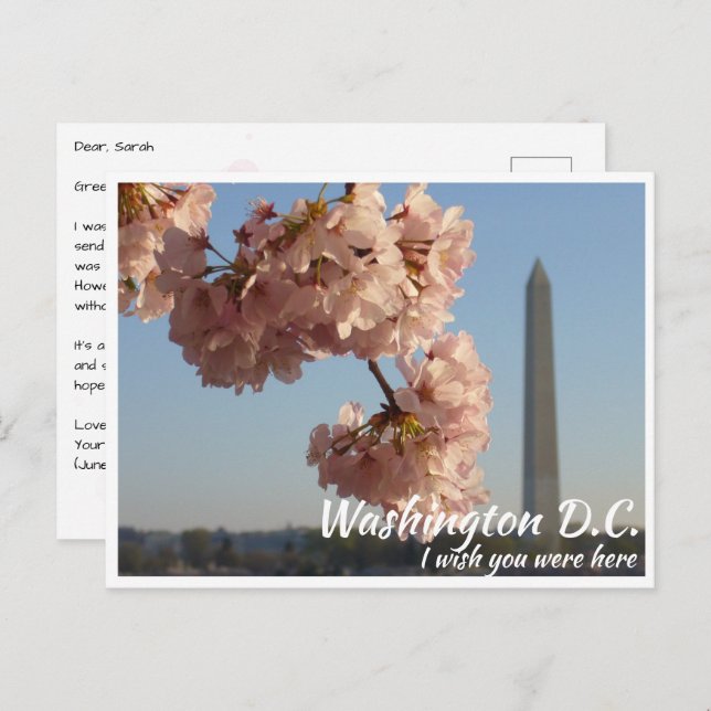 Washington DC Jefferson Memorial with Cherry Tree Postcard (Front/Back)