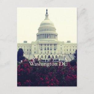 Washington DC Postcard