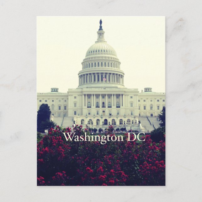 Washington DC Postcard (Front)