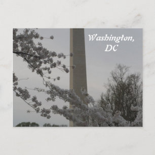 Washington, DC Postcard