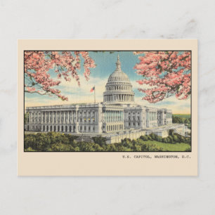 Washington DC Postcard US Capitol Cherry Blossoms