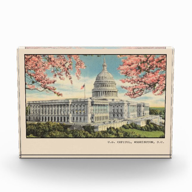 Washington DC Postcard US Capitol Cherry Blossoms Photo Block (Front)