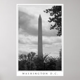 Washington DC Poster