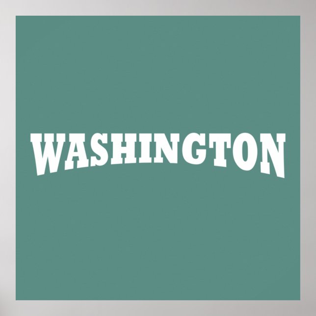 washington dc poster (Front)