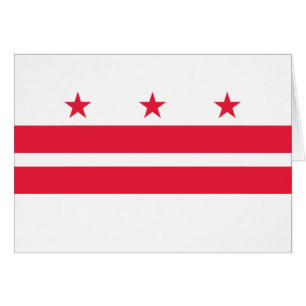 Washington DC State Flag