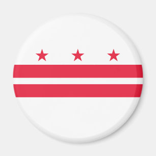 Washington DC State Flag Magnet