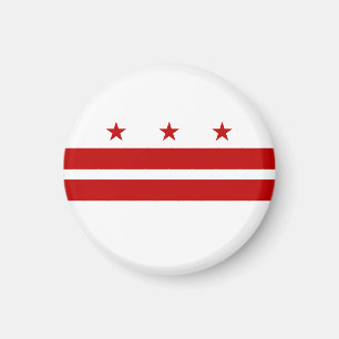 Washington DC State Flag Magnet