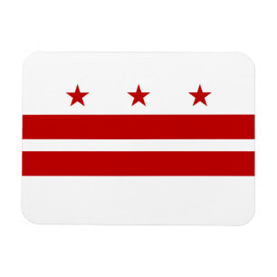 Washington DC State Flag Magnet