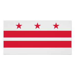 Washington DC State Flag Poster