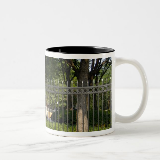 Washington, DC, statue of George Washington, The Two-Tone Coffee Mug (Right)