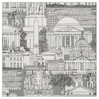 Washington DC toile grey