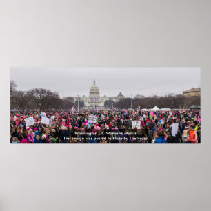 Washington DC Women's March 2017 Poster